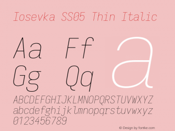 Iosevka SS05 Thin Italic Version 5.0.8 Font Sample