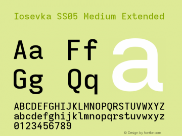 Iosevka SS05 Medium Extended Version 5.0.8 Font Sample