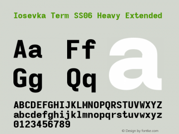 Iosevka Term SS06 Heavy Extended Version 5.0.8 Font Sample