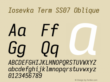 Iosevka Term SS07 Oblique Version 5.0.8 Font Sample