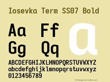 Iosevka Term SS07 Bold Version 5.0.8图片样张