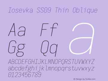 Iosevka SS09 Thin Oblique Version 5.0.8图片样张