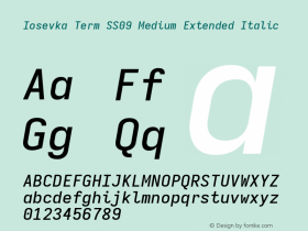 Iosevka Term SS09 Medium Extended Italic Version 5.0.8图片样张