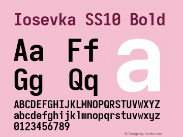 Iosevka SS10 Bold Version 5.0.8图片样张