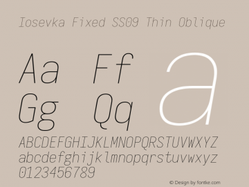 Iosevka Fixed SS09 Thin Oblique Version 5.0.8图片样张