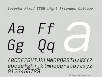 Iosevka Fixed SS09 Light Extended Oblique Version 5.0.8图片样张