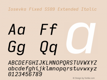 Iosevka Fixed SS09 Extended Italic Version 5.0.8图片样张