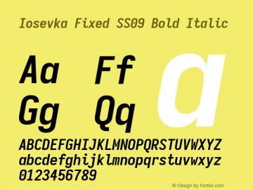 Iosevka Fixed SS09 Bold Italic Version 5.0.8图片样张