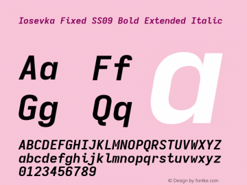 Iosevka Fixed SS09 Bold Extended Italic Version 5.0.8图片样张