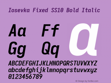 Iosevka Fixed SS10 Bold Italic Version 5.0.8 Font Sample