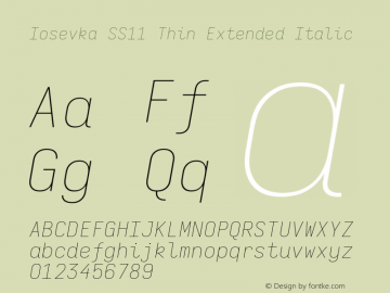 Iosevka SS11 Thin Extended Italic Version 5.0.8图片样张