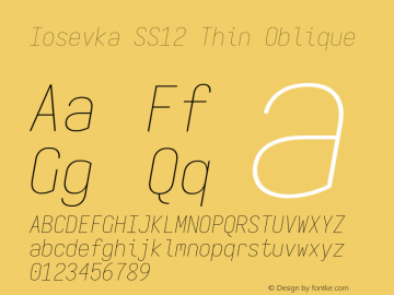 Iosevka SS12 Thin Oblique Version 5.0.8 Font Sample