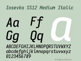 Iosevka SS12 Medium Italic Version 5.0.8图片样张