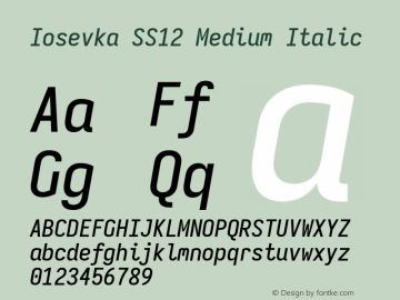 Iosevka SS12 Medium Italic Version 5.0.8图片样张