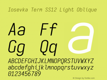 Iosevka Term SS12 Light Oblique Version 5.0.8 Font Sample