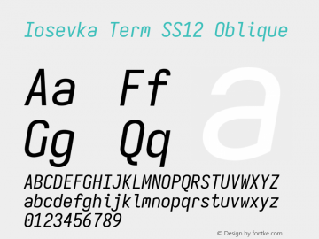 Iosevka Term SS12 Oblique Version 5.0.8 Font Sample