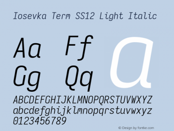 Iosevka Term SS12 Light Italic Version 5.0.8 Font Sample