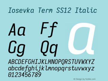Iosevka Term SS12 Italic Version 5.0.8 Font Sample