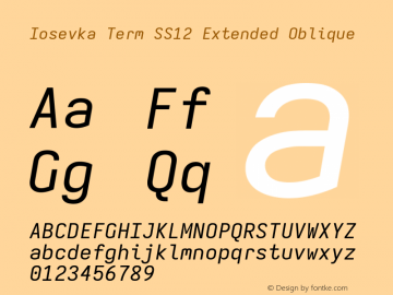 Iosevka Term SS12 Extended Oblique Version 5.0.8 Font Sample
