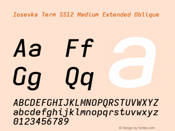 Iosevka Term SS12 Medium Extended Oblique Version 5.0.8 Font Sample