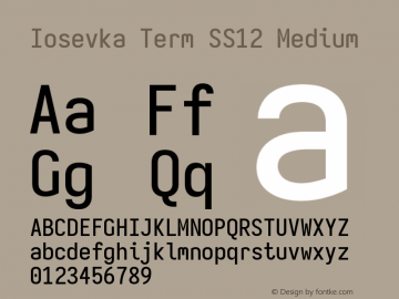 Iosevka Term SS12 Medium Version 5.0.8 Font Sample