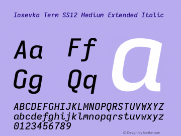 Iosevka Term SS12 Medium Extended Italic Version 5.0.8 Font Sample