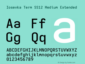 Iosevka Term SS12 Medium Extended Version 5.0.8 Font Sample