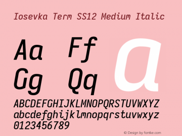 Iosevka Term SS12 Medium Italic Version 5.0.8 Font Sample