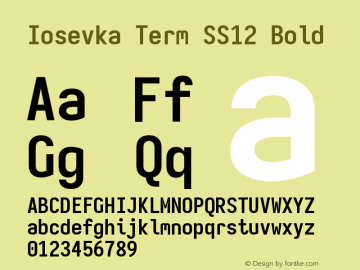 Iosevka Term SS12 Bold Version 5.0.8 Font Sample
