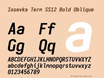 Iosevka Term SS12 Bold Oblique Version 5.0.8 Font Sample