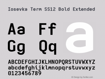 Iosevka Term SS12 Bold Extended Version 5.0.8 Font Sample