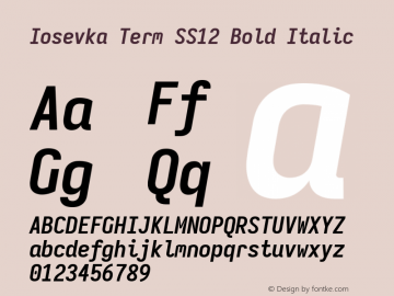 Iosevka Term SS12 Bold Italic Version 5.0.8 Font Sample