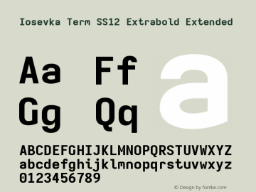 Iosevka Term SS12 Extrabold Extended Version 5.0.8 Font Sample