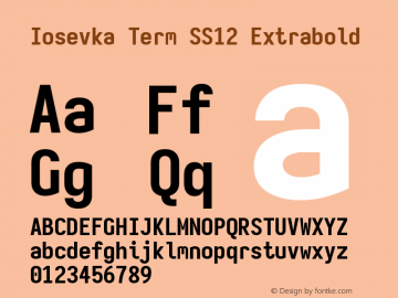 Iosevka Term SS12 Extrabold Version 5.0.8 Font Sample