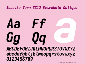 Iosevka Term SS12 Extrabold Oblique Version 5.0.8 Font Sample