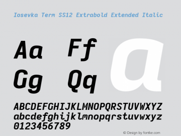 Iosevka Term SS12 Extrabold Extended Italic Version 5.0.8 Font Sample