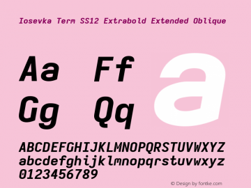 Iosevka Term SS12 Extrabold Extended Oblique Version 5.0.8 Font Sample