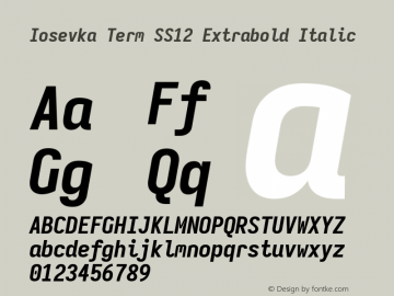 Iosevka Term SS12 Extrabold Italic Version 5.0.8 Font Sample