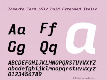 Iosevka Term SS12 Bold Extended Italic Version 5.0.8 Font Sample