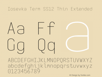 Iosevka Term SS12 Thin Extended Version 5.0.8 Font Sample