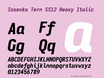 Iosevka Term SS12 Heavy Italic Version 5.0.8 Font Sample