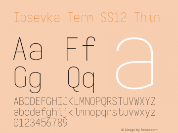 Iosevka Term SS12 Thin Version 5.0.8 Font Sample