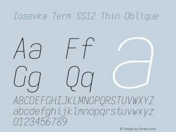 Iosevka Term SS12 Thin Oblique Version 5.0.8 Font Sample