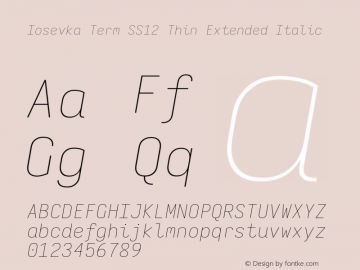 Iosevka Term SS12 Thin Extended Italic Version 5.0.8 Font Sample