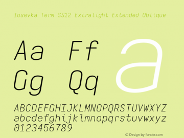 Iosevka Term SS12 Extralight Extended Oblique Version 5.0.8 Font Sample