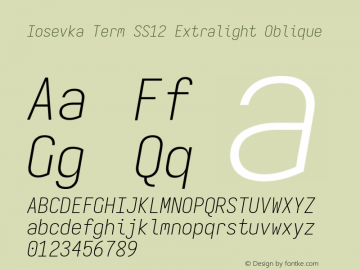 Iosevka Term SS12 Extralight Oblique Version 5.0.8 Font Sample
