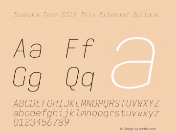Iosevka Term SS12 Thin Extended Oblique Version 5.0.8 Font Sample
