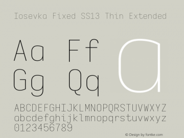 Iosevka Fixed SS13 Thin Extended Version 5.0.8 Font Sample