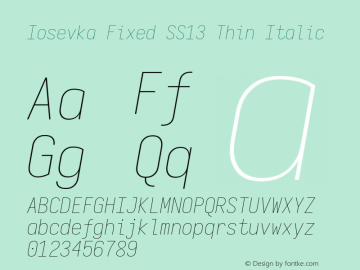 Iosevka Fixed SS13 Thin Italic Version 5.0.8 Font Sample