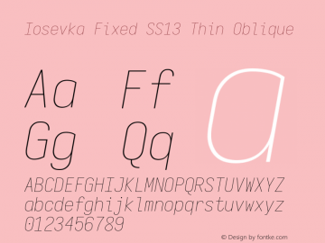 Iosevka Fixed SS13 Thin Oblique Version 5.0.8 Font Sample